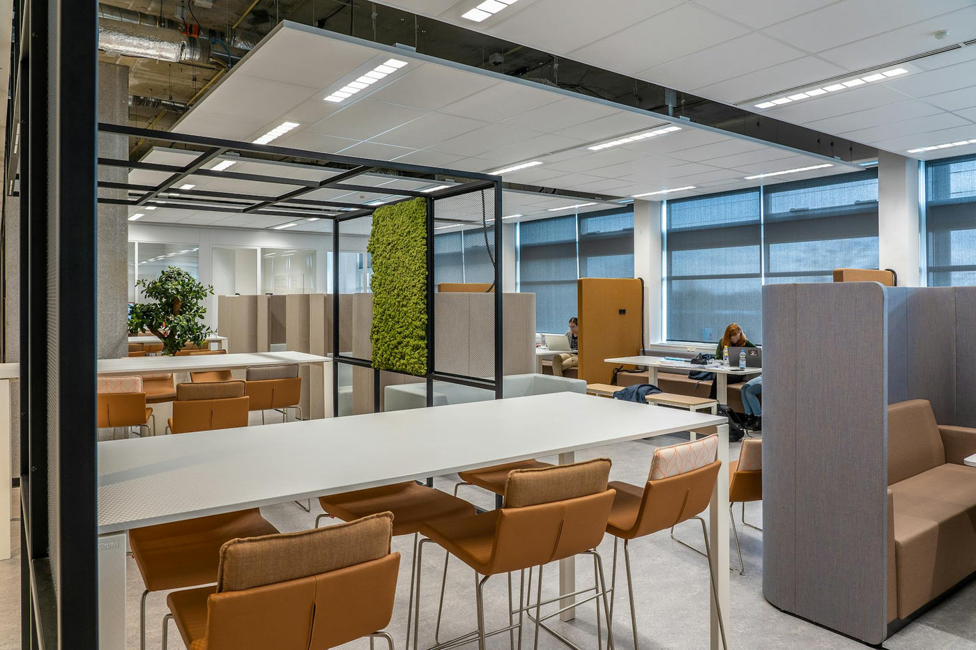 A spacious coworking office featuring modern design and natural decor elements for a collaborative environment.