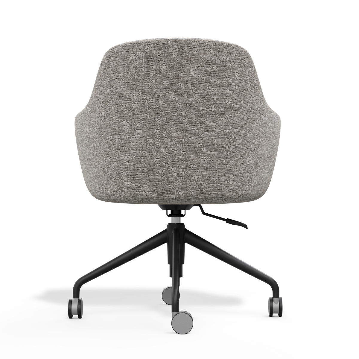 AsterGrey